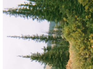 Rocky Mountain Learning Journey September