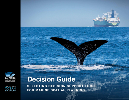 Decision Guide: Selecting decision support tools for marine spatial planning
