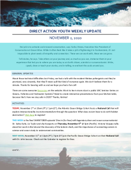 2020-11-02 DA Youth Weekly Update