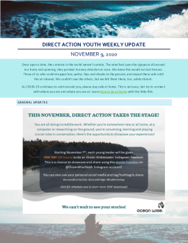 2020-11-09 DA Youth Weekly Update