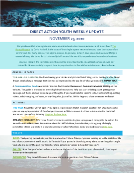 2020-11-23 DA Youth Weekly Update