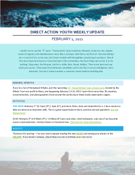 2021-02-01 DA Youth Weekly Update