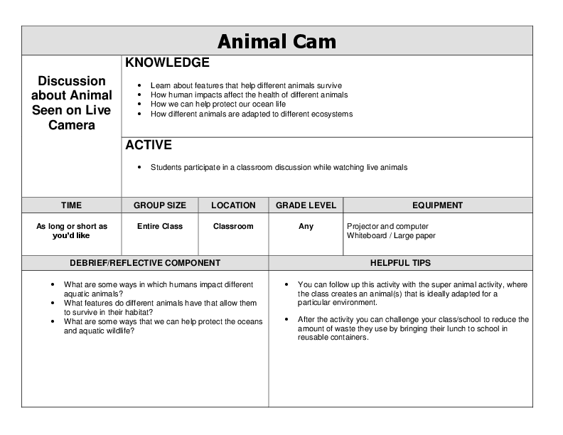 Animal Cam