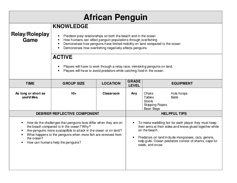 African Penguin