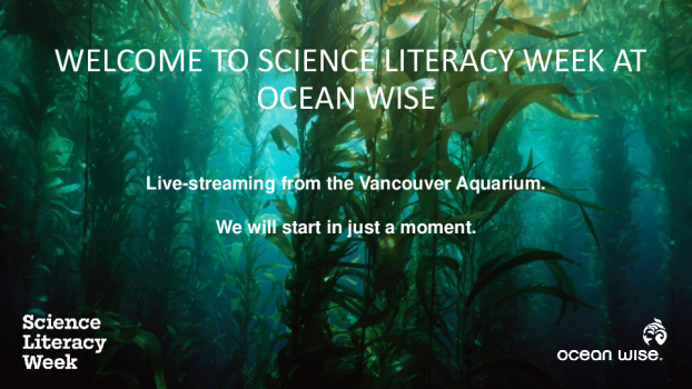 Citizen Science and Killer Whales Presentation