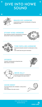 Animal ID Guide for Howe Sound Activity