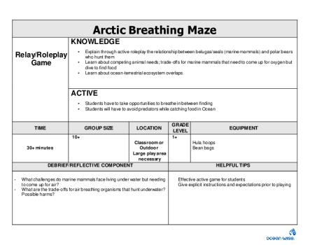 Arctic Breathing Maze