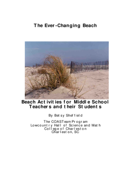 The Ever Changing Beach