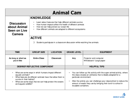Animal Cam
