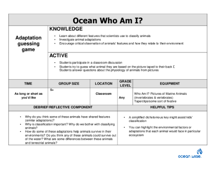 Ocean Who Am I?